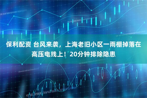 保利配资 台风来袭，上海老旧小区一雨棚掉落在高压电线上！20分钟排除隐患