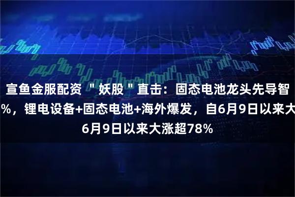 宣鱼金服配资 ＂妖股＂直击：固态电池龙头先导智能大涨20%，锂电设备+固态电池+海外爆发，自6月9日以来大涨超78%